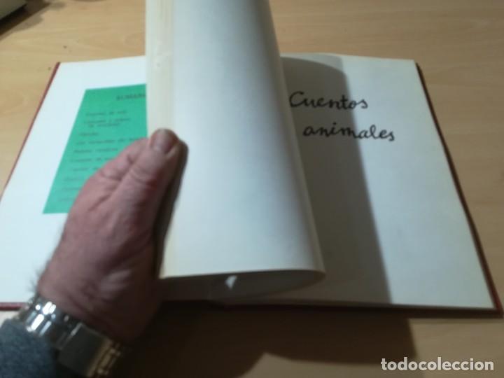Libros de segunda mano: DIME CUENTAME / VV / AA / ARGOS / AC206 - Foto 17