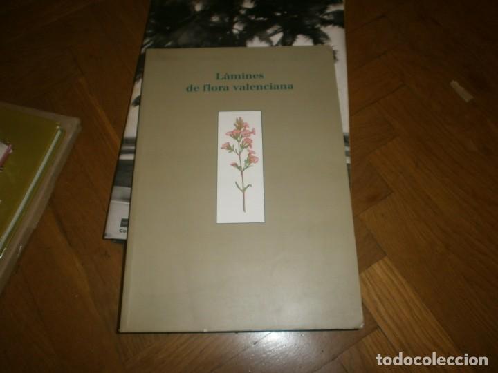 Libros de segunda mano: L&aacute;mines de flora Valenciana - L&aacute;minas de flora valenciana Generalitat 2004 33X23 cm. 172 pg.