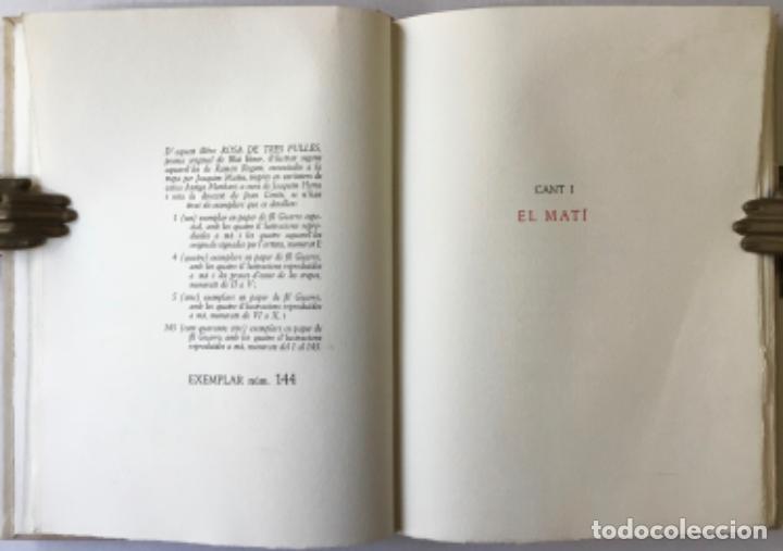 Libros de segunda mano: ROSA DE TRES FULLES. - EINER, Blai. - Foto 2