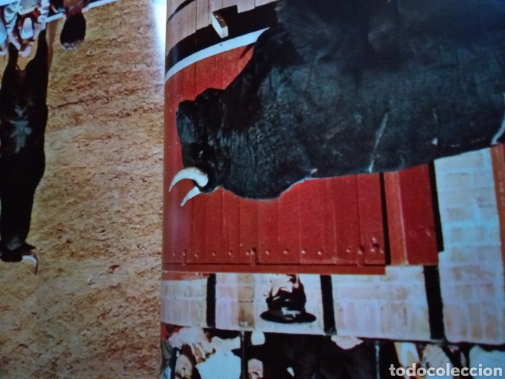 Libros de segunda mano: La corrida. Espa&ntilde;a 1977 ...... ENV&Iacute;O GRATIS CERT ESPA&Ntilde;A PEN&Iacute;NSULA.........toros - Foto 13
