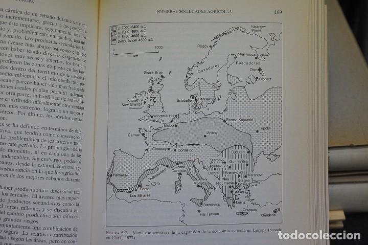 Libros de segunda mano: PREHISTORIA DE EUROPA. VV.AA. - Foto 2