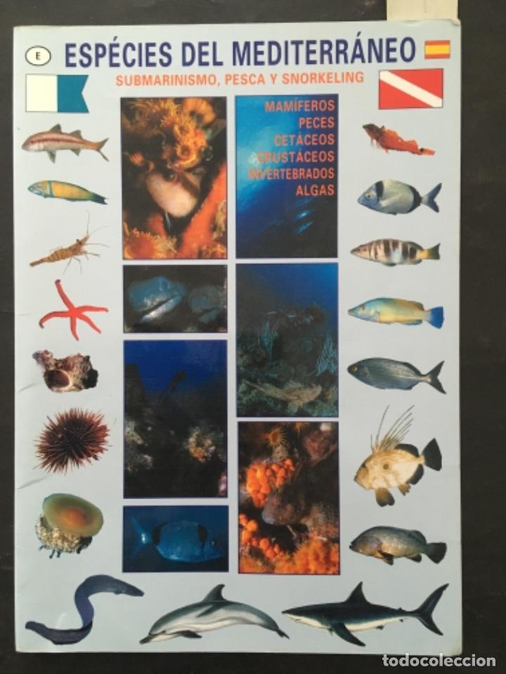 Libros de segunda mano: ESPECIES DEL MEDITERRANEO, GUIA SUMERGIBLE PARA SUBMARINISTAS, PESCA Y SNORKELING