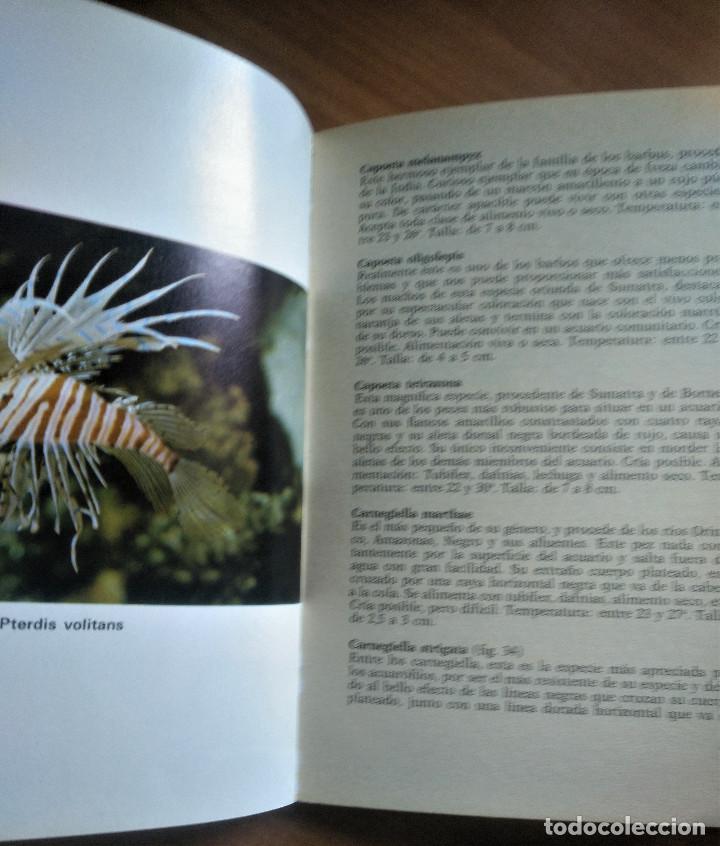 Libros de segunda mano: El Acuario en casa, Torroella, Ed. de Vecchi, 1976 - Foto 2