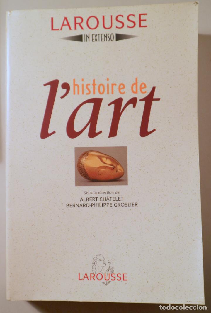 Libros de segunda mano: HISTOIRE DE LART - Paris 1995 - Foto 1