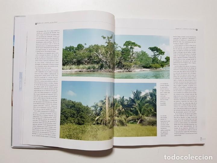 Libros de segunda mano: MEXICO. MONUMENTOS DEL PATRIMONIO DE LA HUMANIDAD. BBVA. 2002 - Foto 6