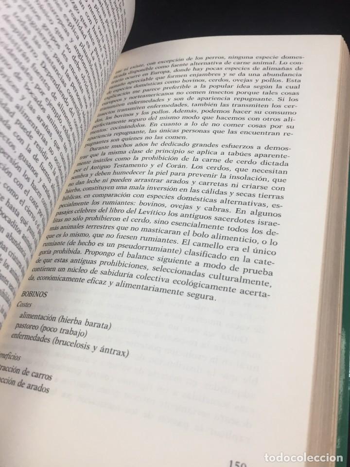 Libros de segunda mano: Marvin Harris Nuestra Especie. Alianza Editorial 1991 - Foto 6