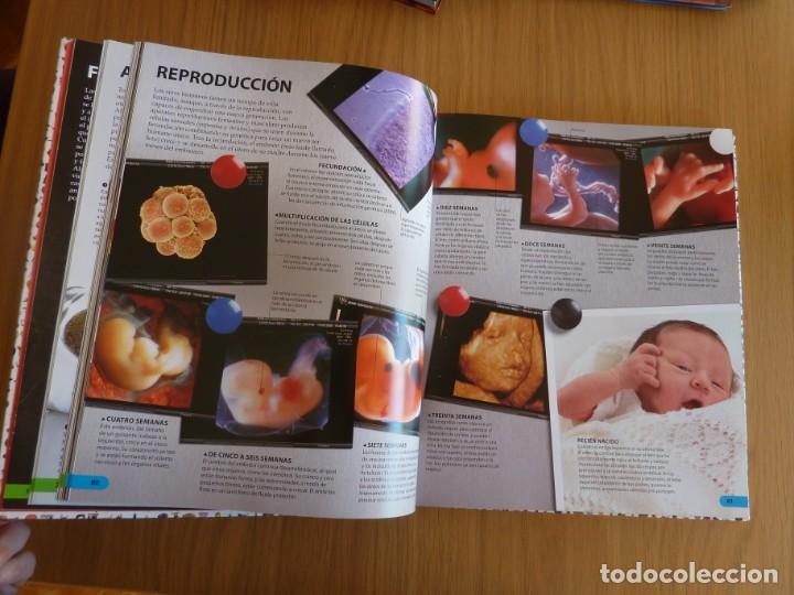 Libros de segunda mano: ENCICLOPEDIA VISUAL DE TODO. SM - Foto 6