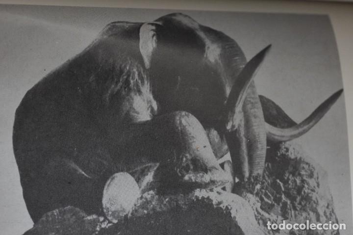 Libros de segunda mano: Arqueolog&iacute;a y sociedad. Grahame Clark - Foto 3