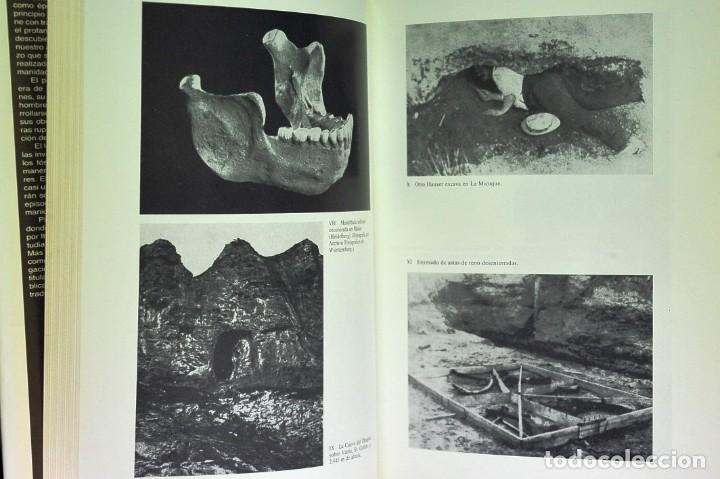 Libros de segunda mano: El libro de la Edad de Piedra. Pierre Honor&eacute; - Foto 2