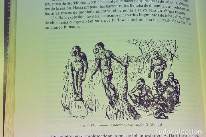 Libros de segunda mano: El libro de la Edad de Piedra. Pierre Honor&eacute; - Foto 3