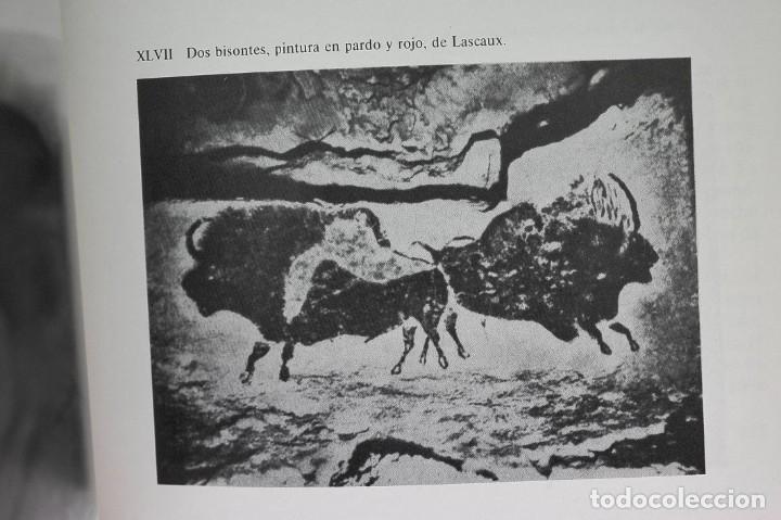 Libros de segunda mano: El libro de la Edad de Piedra. Pierre Honor&eacute; - Foto 4