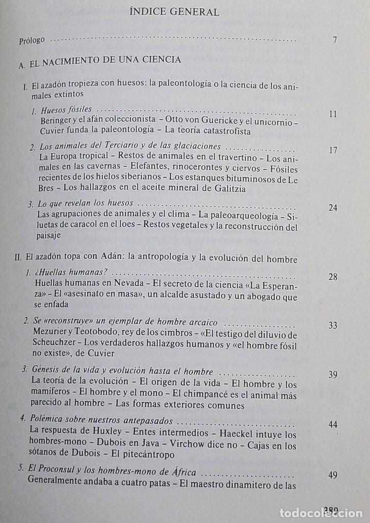Libros de segunda mano: El libro de la Edad de Piedra. Pierre Honor&eacute; - Foto 6