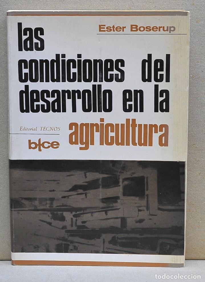Libros de segunda mano: Las condiciones del desarrollo en la agricultura. Ester Boserup - Foto 1