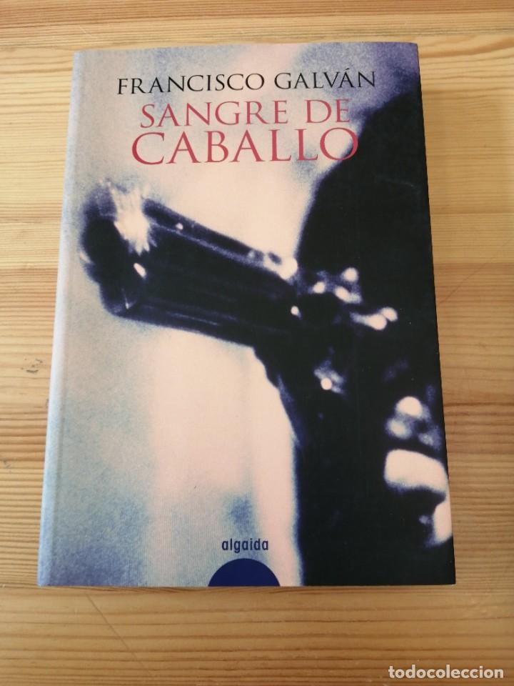 Libros de segunda mano: Sangre de caballo, Francisco Galv&aacute;n, algaida 2008, libro - Foto 1