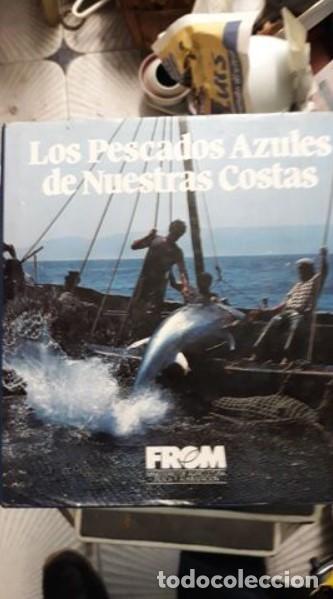 Libros de segunda mano: LOS PESCADOS AZULES DE NUESTRAS COSTAS. - Foto 1