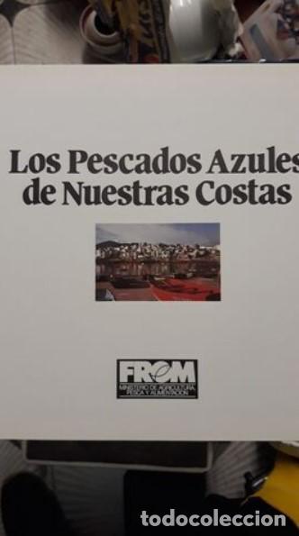 Libros de segunda mano: LOS PESCADOS AZULES DE NUESTRAS COSTAS. - Foto 2