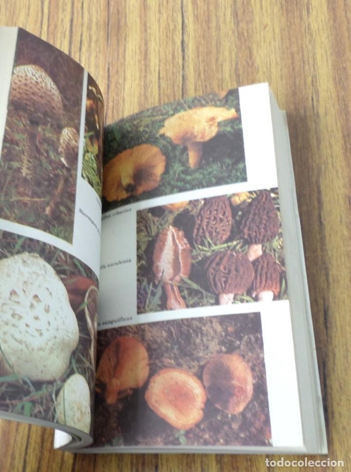 Libros de segunda mano: MANUAL DE LAS SETAS - Juan Jos&eacute; Lapitz Mend&iacute;a - Ed. Penthalon 1983 - Foto 7
