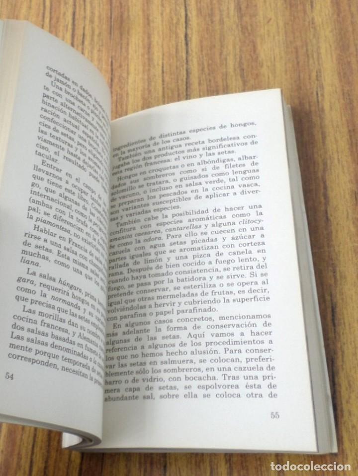 Libros de segunda mano: MANUAL DE LAS SETAS - Juan Jos&eacute; Lapitz Mend&iacute;a - Ed. Penthalon 1983 - Foto 8