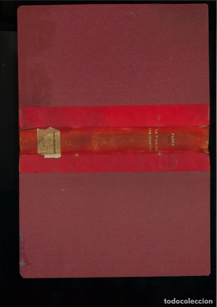 Libros de segunda mano: LA VIDA DE LOS INSECTOS. J. H. Fabre - Foto 2