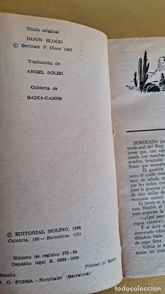 Libros de segunda mano: BERT CLOOS - SANGRE INDIA - EDITORIAL MOLINO 1964 - Foto 3