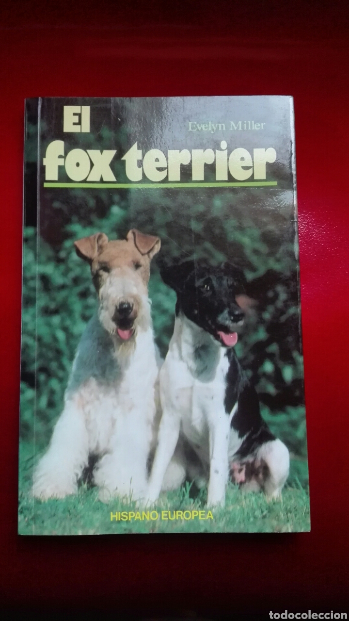 Libros de segunda mano: El fox terrier Evelyn Miller - Foto 1