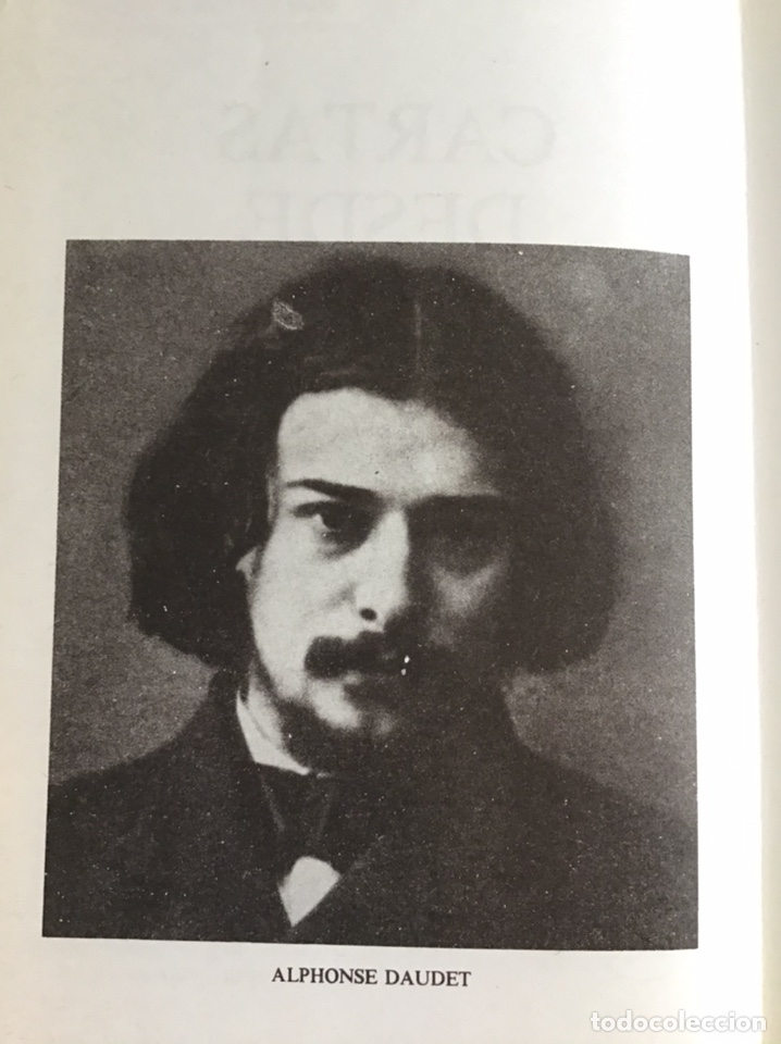 Libros de segunda mano: CARTAS DESDE MI MOLINO / DAUDET / GAVIOTA - Foto 3