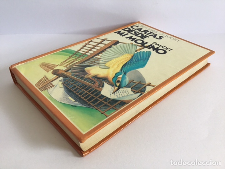 Libros de segunda mano: CARTAS DESDE MI MOLINO / DAUDET / GAVIOTA - Foto 9