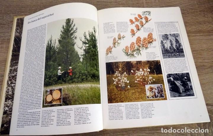 Libros de segunda mano: LA MADERA HUGH JOHNSON - Foto 4