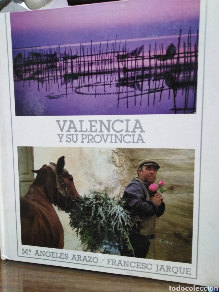 Second hand books: VALENCIA Y SU PROVINCIA-MARIA &Aacute;NGELES ARANZO/FRANCESC JARQUE-1985