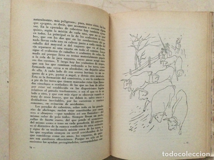 Libros de segunda mano: BRAVURA. Carlos de Larra. &ldquo;Curro Meloja&rdquo; - Foto 4