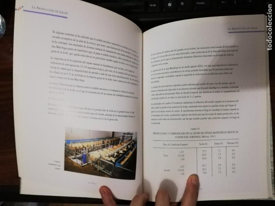 Libros de segunda mano: El queso manchego. VV.AA. - Foto 5