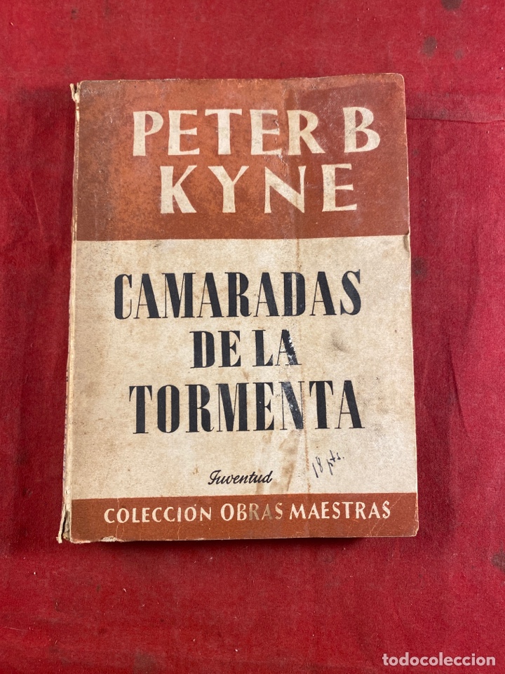 Libros de segunda mano: Camaradas de la Tormenta - Foto 1
