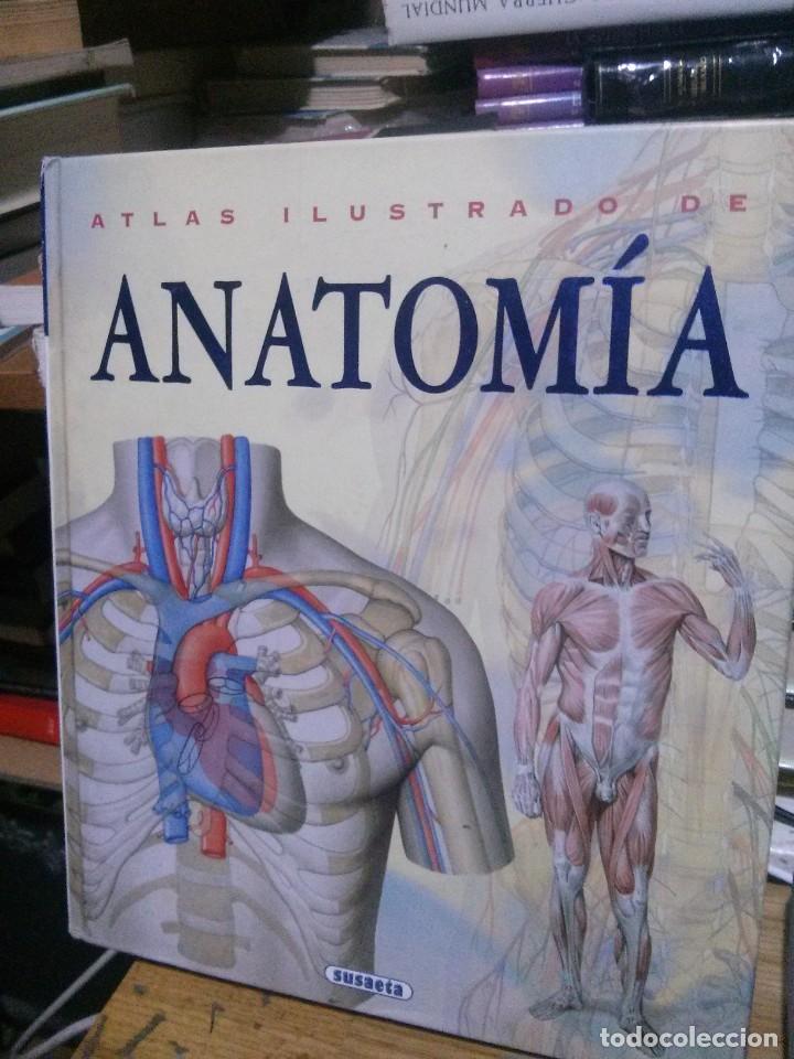 Libros de segunda mano: ATLAS ILUSTRADO DE ANATOM&Iacute;A, SUSAETA - Foto 1