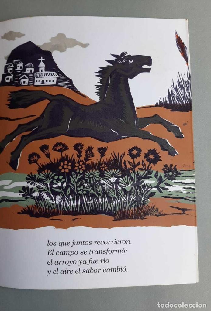 Libros de segunda mano: Jos&eacute; Rueda El Caballo y el Mar Xilografias - Foto 5