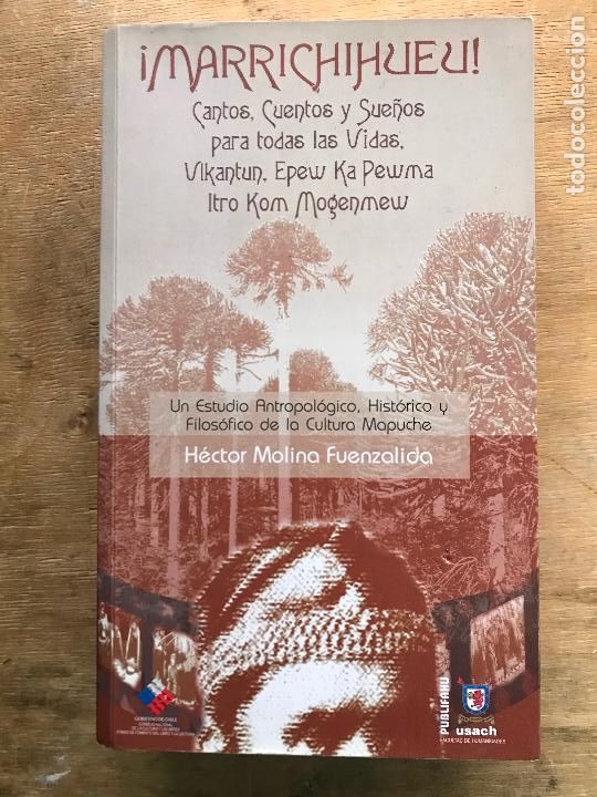 Libros de segunda mano: CANTOS CUENTOS Y SUE&Ntilde;OS PARA TODAS LAS VIDAS. ANTROPOLOG&Iacute;A. CULTURA MAPUCHE. HECTOR MOLINA