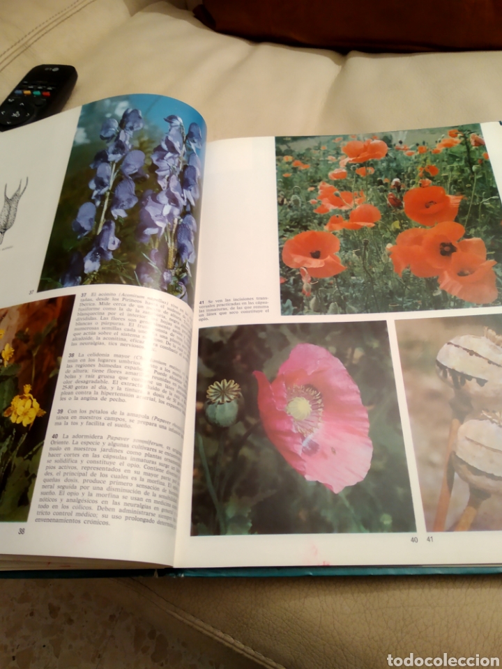 Libros de segunda mano: Plantas medicinales - Foto 2