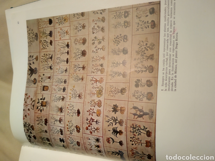 Libros de segunda mano: Plantas medicinales - Foto 4