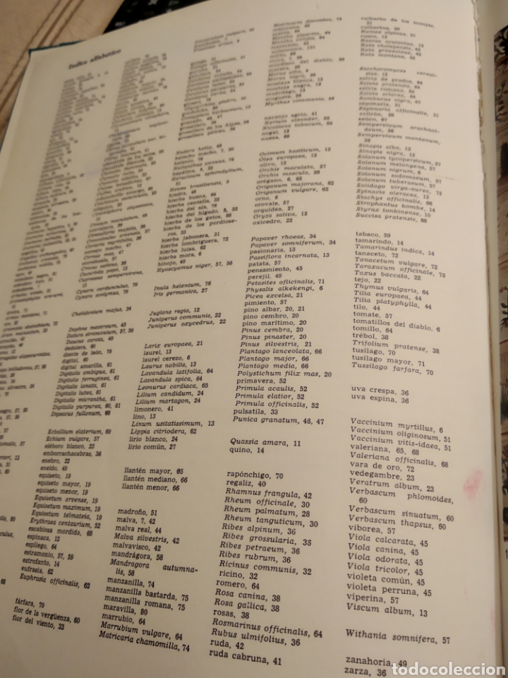 Libros de segunda mano: Plantas medicinales - Foto 1