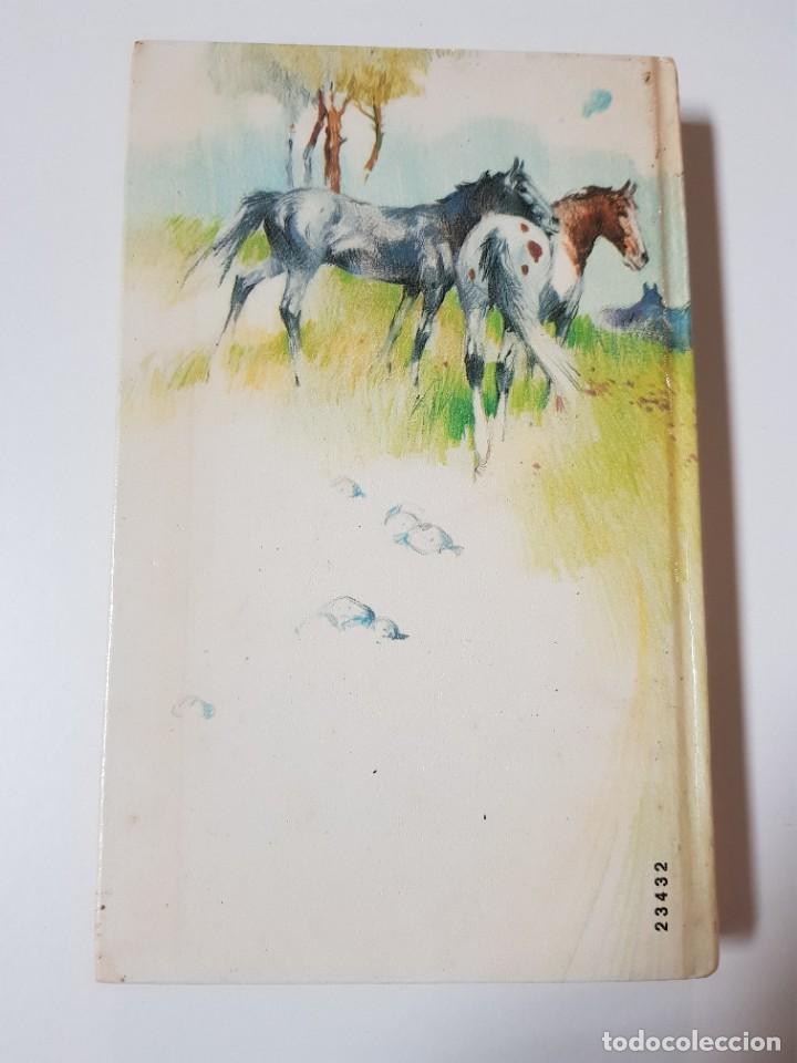 Libros de segunda mano: MI AMIGA FLICKA. MARY O&acute;HARA. PRIMERA EDICION 1985 - Foto 2