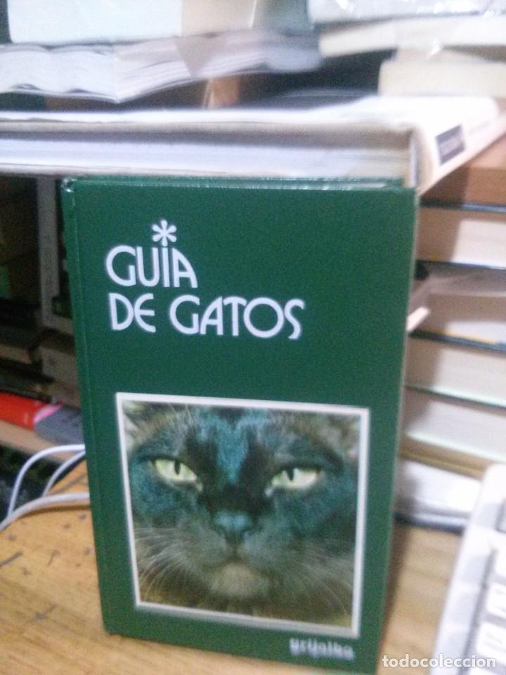 Libros de segunda mano: GU&Iacute;A DE GATOS, ED. GRIJALBO - Foto 1