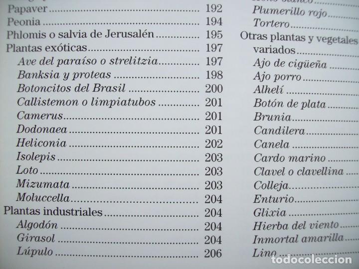 Libros de segunda mano: GUIA DE LAS FLORES SECAS DE ESPA&Ntilde;A. EDICIONES OMEGA - Foto 5