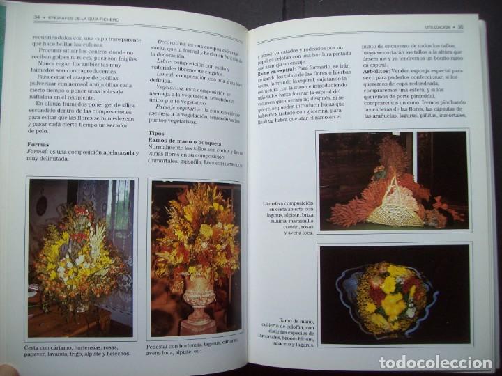 Libros de segunda mano: GUIA DE LAS FLORES SECAS DE ESPA&Ntilde;A. EDICIONES OMEGA - Foto 7