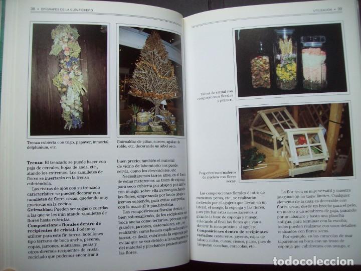 Libros de segunda mano: GUIA DE LAS FLORES SECAS DE ESPA&Ntilde;A. EDICIONES OMEGA - Foto 8