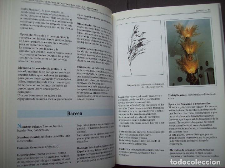 Libros de segunda mano: GUIA DE LAS FLORES SECAS DE ESPA&Ntilde;A. EDICIONES OMEGA - Foto 9