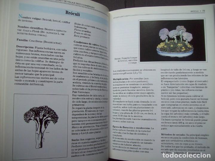 Libros de segunda mano: GUIA DE LAS FLORES SECAS DE ESPA&Ntilde;A. EDICIONES OMEGA - Foto 10