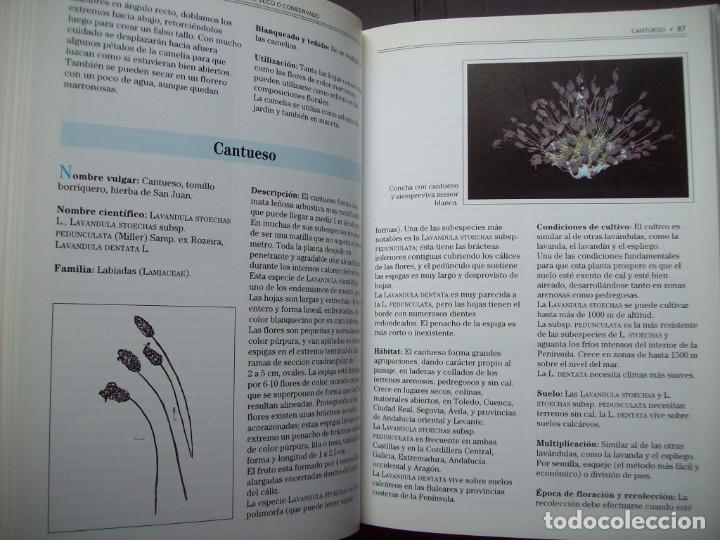 Libros de segunda mano: GUIA DE LAS FLORES SECAS DE ESPA&Ntilde;A. EDICIONES OMEGA - Foto 11