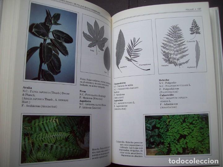 Libros de segunda mano: GUIA DE LAS FLORES SECAS DE ESPA&Ntilde;A. EDICIONES OMEGA - Foto 13