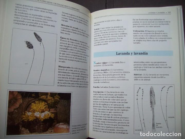 Libros de segunda mano: GUIA DE LAS FLORES SECAS DE ESPA&Ntilde;A. EDICIONES OMEGA - Foto 15