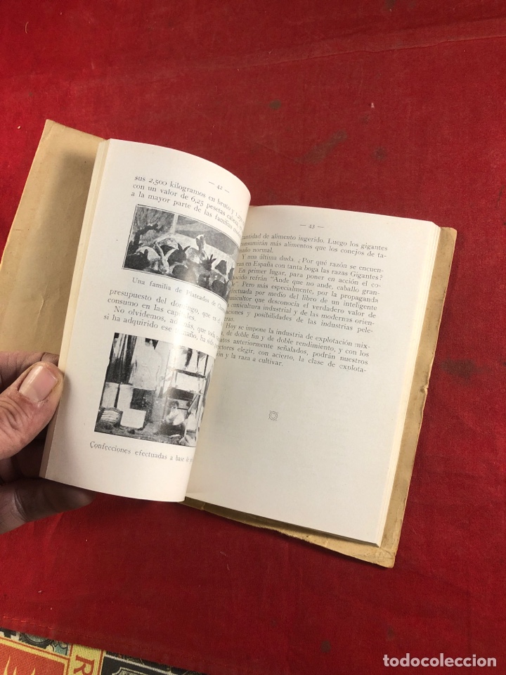 Libros de segunda mano: CUNICULTURA - Foto 2