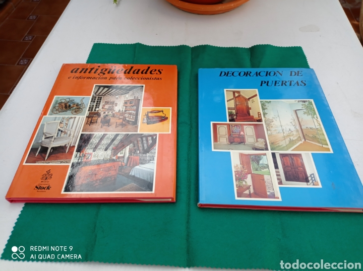 Libros de segunda mano: LIBROS ANTIG&Uuml;EDADES-DECORACION DE PUERTAS EDIC. STOCK - Foto 1
